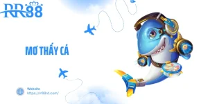 Mơ Thấy Cá - Con Số May Mắn Khi Chiêm Bao Thấy Cá